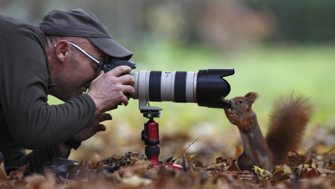 Zaglavljena veverica, žaba u mehuru i riba što lovi orla: Ko su pobednici ovogodišnjeg takmičenja Nikon Comedy Wildlife