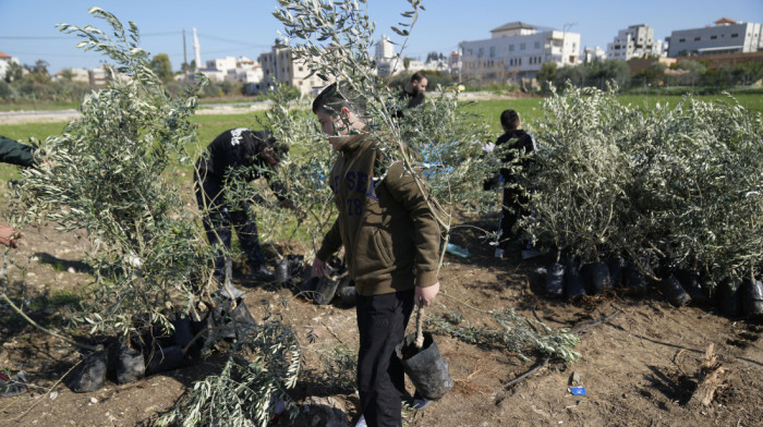 Palestinci posvetili maslinjak na Zapadnoj obali Džimiju Karteru