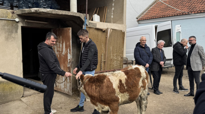 Martinović uručio telad poljoprivredniku Jovanoviću iz Svinjareva, koji je uputio molbu predsedniku Vučiću