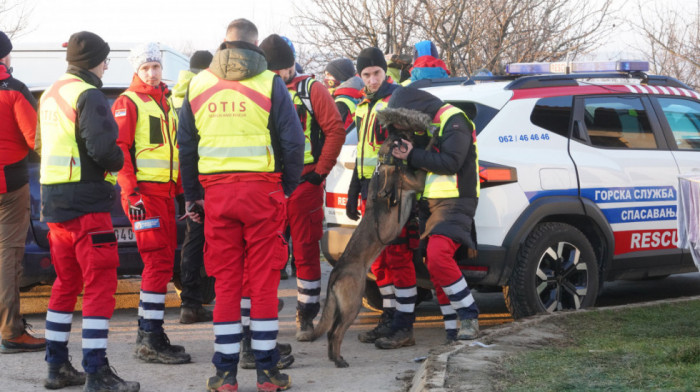 Nestalu devojčicu pronašla je keruša Mila: Specijalno obučeni pas zamenjuje i do 30 ljudi u akcijama spasavanja (FOTO)