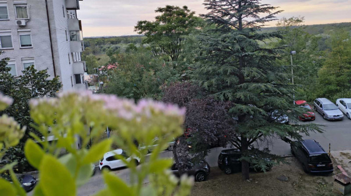 Potpuno razvedravanje i stabilnije vreme: Temperature do kraja sedmice iznad proseka