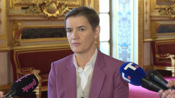 Brnabić završila trodnevnu posetu Parizu
